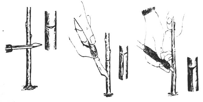 Рисунок