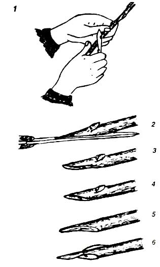 Рисунок